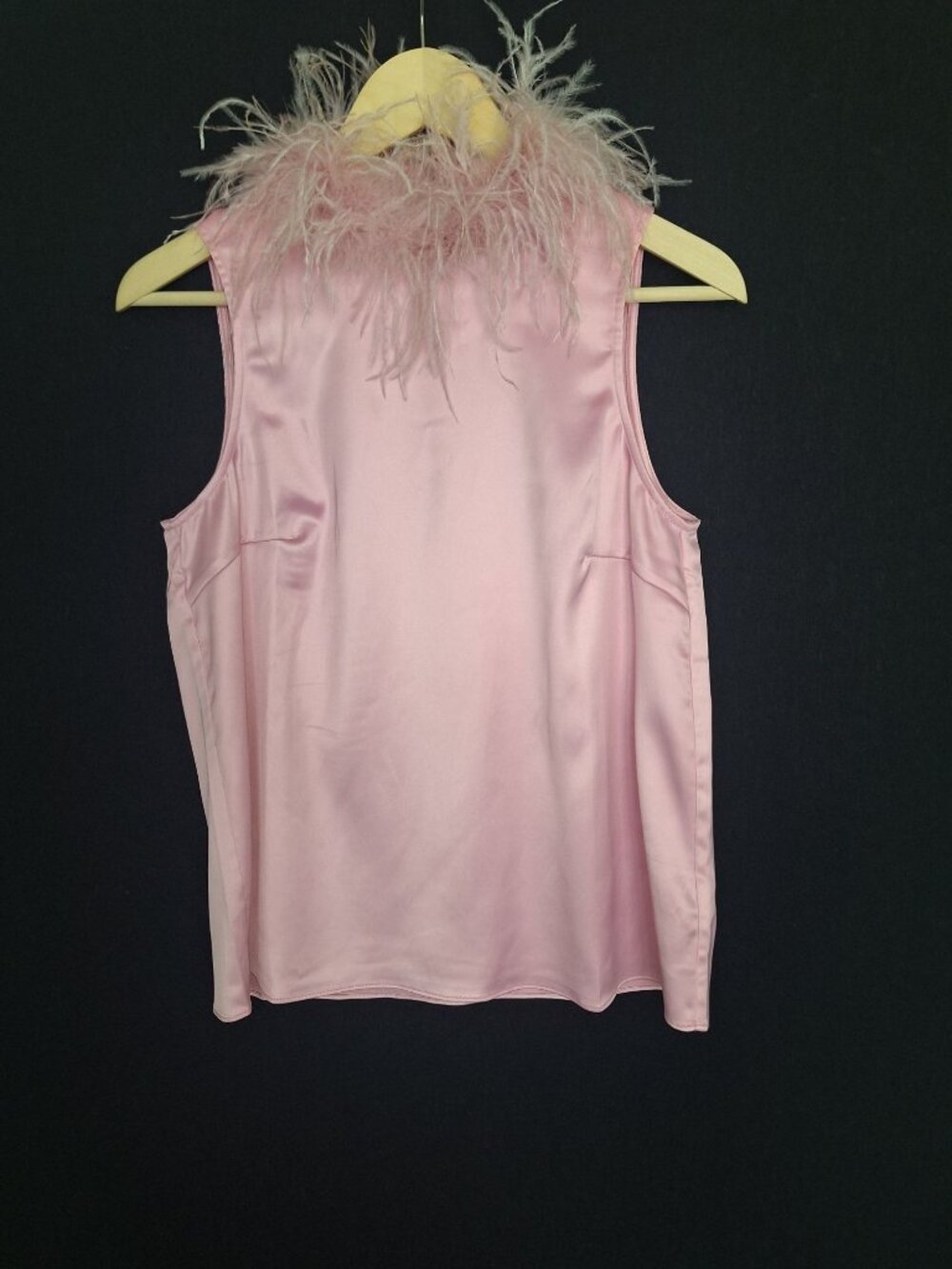 NWT Nova Luxe Pink Satin Feather Trim Top Size M Sleeveless Statement Blouse Gla